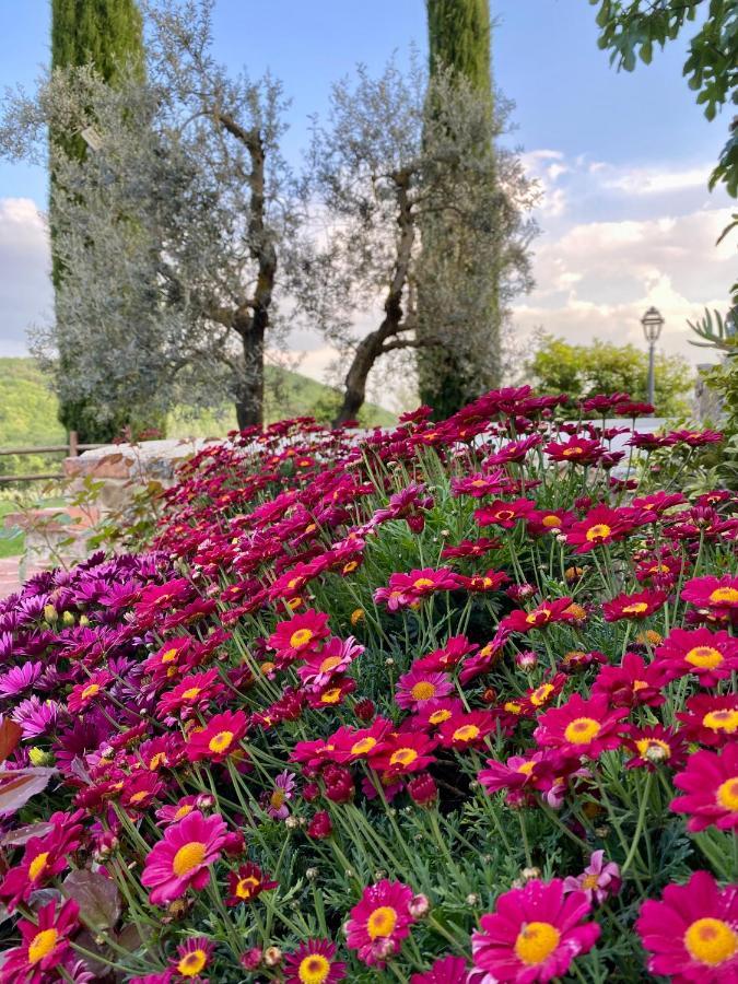 Agriturismo Belagaggio Montefollonico Екстериор снимка
