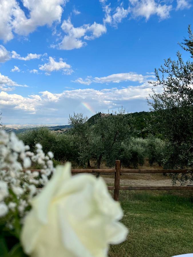 Agriturismo Belagaggio Montefollonico Екстериор снимка