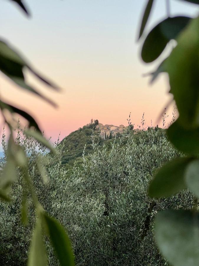 Agriturismo Belagaggio Montefollonico Екстериор снимка